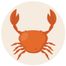 Câncer