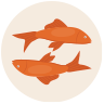 Peixes