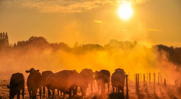 Calor extremo, seca e inundações marcam mês de julho em todo o mundo