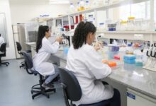 Projeto de Jader Barbalho evita cortes em bolsas estudantis