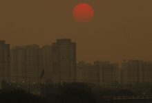 Relatório traz soluções para reduzir emissões de metano