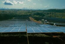 Painéis solares instalados em área árida para geração de energia limpa e recuperação do solo