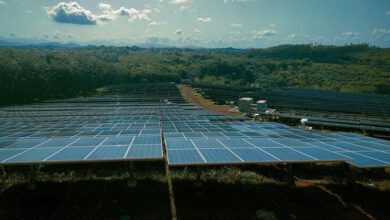 Painéis solares instalados em área árida para geração de energia limpa e recuperação do solo