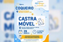 Cães e gatos recebem atendimento veterinário em ação gratuita