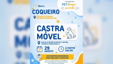 Cães e gatos recebem atendimento veterinário em ação gratuita