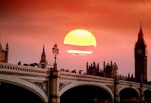 Florestas afetadas por seca severa e calor extremo na Europa e América do Norte