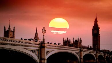 Florestas afetadas por seca severa e calor extremo na Europa e América do Norte