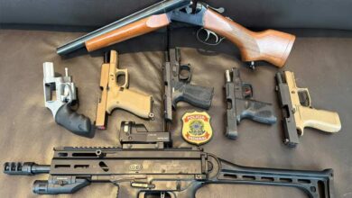 PF apreende sete armas de fogo de Mario Frias em operação sobre filme "Dark Horse"
