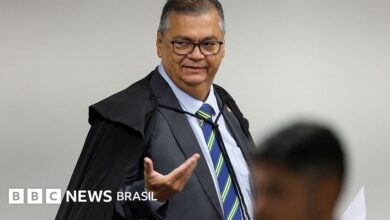 Dark Horse: Dino retira sigilo de material da polícia de SP sobre financiamento do filme - BBC News Brasil