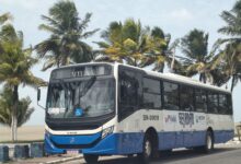 Ônibus para Mosqueiro terá reforço de frota no feriado