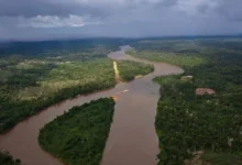 Vista aérea do rio Uraricoera, na Terra Indígena Yanomami
