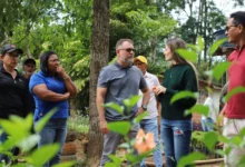 Horto Florestal de Rio Branco mantém viveiro com 150 espécies para paisagismo urbano