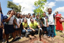 Prefeitura planta 300 mudas no Portal da Amazônia