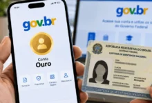 Usuários da Carteira de Identidade Nacional com contas GOV.BR