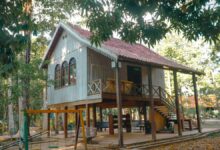 Parque Urbano Capitão Ciríaco em Rio Branco