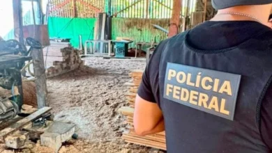 PF no Acre deflagra operação contra retirada ilegal de madeira de terra indígena na divisa com o Amazonas