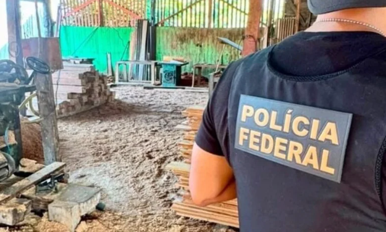PF no Acre deflagra operação contra retirada ilegal de madeira de terra indígena na divisa com o Amazonas