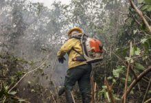 Mapa de focos de incêndio no estado do Amazonas