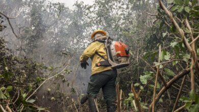 Mapa de focos de incêndio no estado do Amazonas