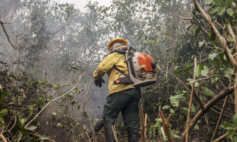 Mapa de focos de incêndio no estado do Amazonas