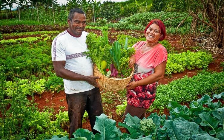 Plantação que representa a agricultura familiar beneficiada por recursos federais no Acre