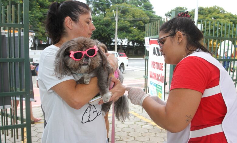 Vacina antirrábica aplicada em cães e gatos