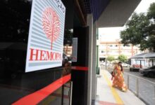 Profissionais de saúde do Hemopa em atendimento a pacientes