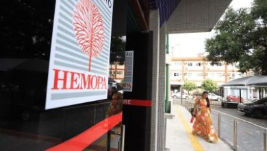 Profissionais de saúde do Hemopa em atendimento a pacientes