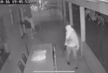 Caminhonete e objetos roubados durante assalto em sítio na zona rural de Parauapebas