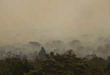 Base regional da Força Nacional do SUS instalada em Manaus