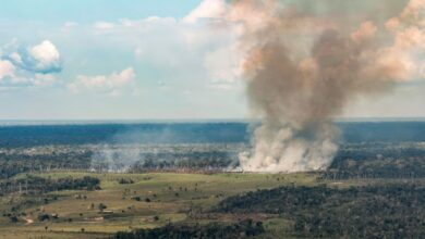 Operação de combate a incêndios e seca na Região Norte