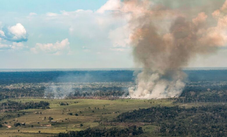 Operação de combate a incêndios e seca na Região Norte