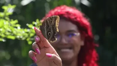 Crianças participam de atividades recreativas no Parque Mangal das Garças