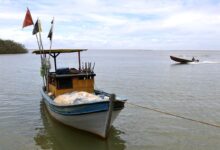 Pesca na foz do Rio Doce