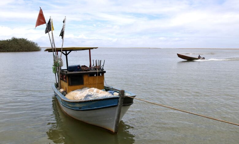 Pesca na foz do Rio Doce